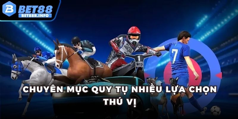 Chuyên mục quy tụ nhiều lựa chọn thú vị