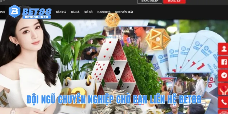 Đội ngũ chuyên nghiệp chờ bạn liên hệ BET88