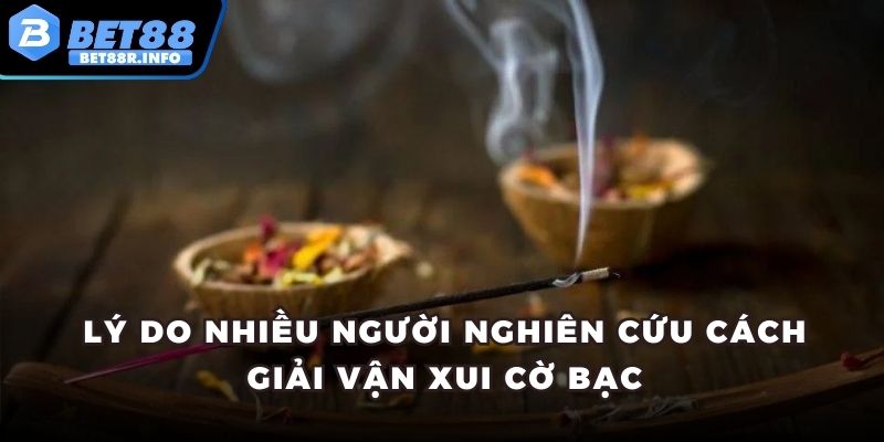 Lý do nhiều người nghiên cứu cách giải vận xui cờ bạc