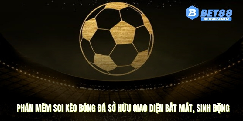Phần mềm soi kèo bóng đá sở hữu giao diện bắt mắt, sinh động